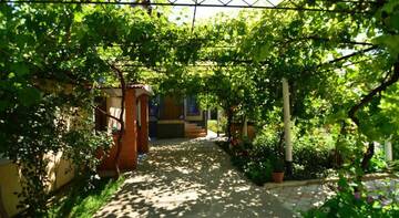 Фото номера Двухместный номер Делюкс с 1 кроватью и душем Гостиница Guest House Lastochka г. Песчаное 5